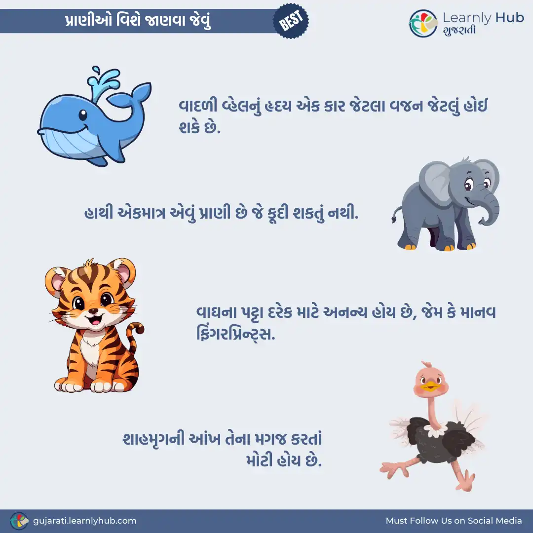 animals vishe janva jevu in gujarati