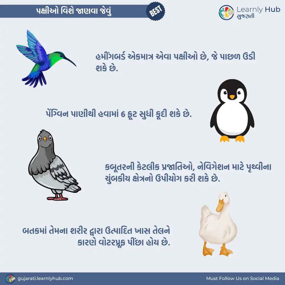 birds vishe janva jevu in gujarati