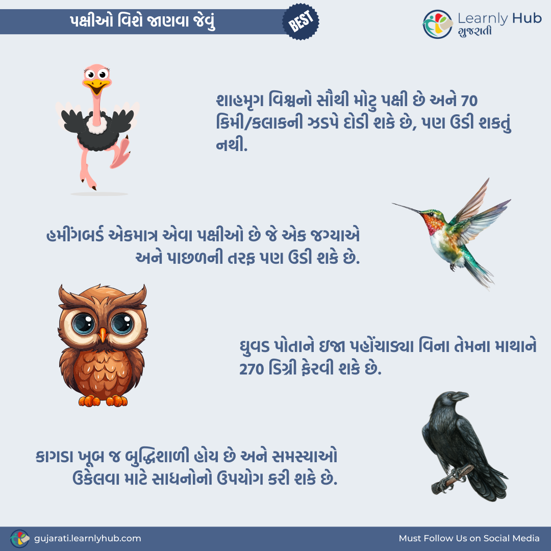 birds vishe student mate janva jevu gujarati