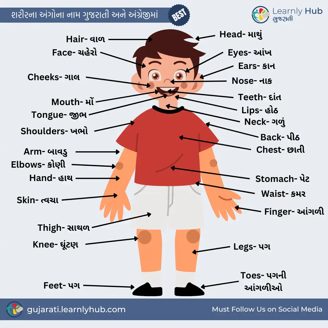 body parts name in gujarati and english with pictures- શરીરના બાહ્ય અંગોના ના નામ