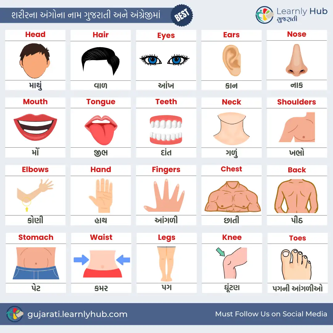 body parts name in gujarati and english with pictures- શરીરના બાહ્ય અંગોના ના નામ