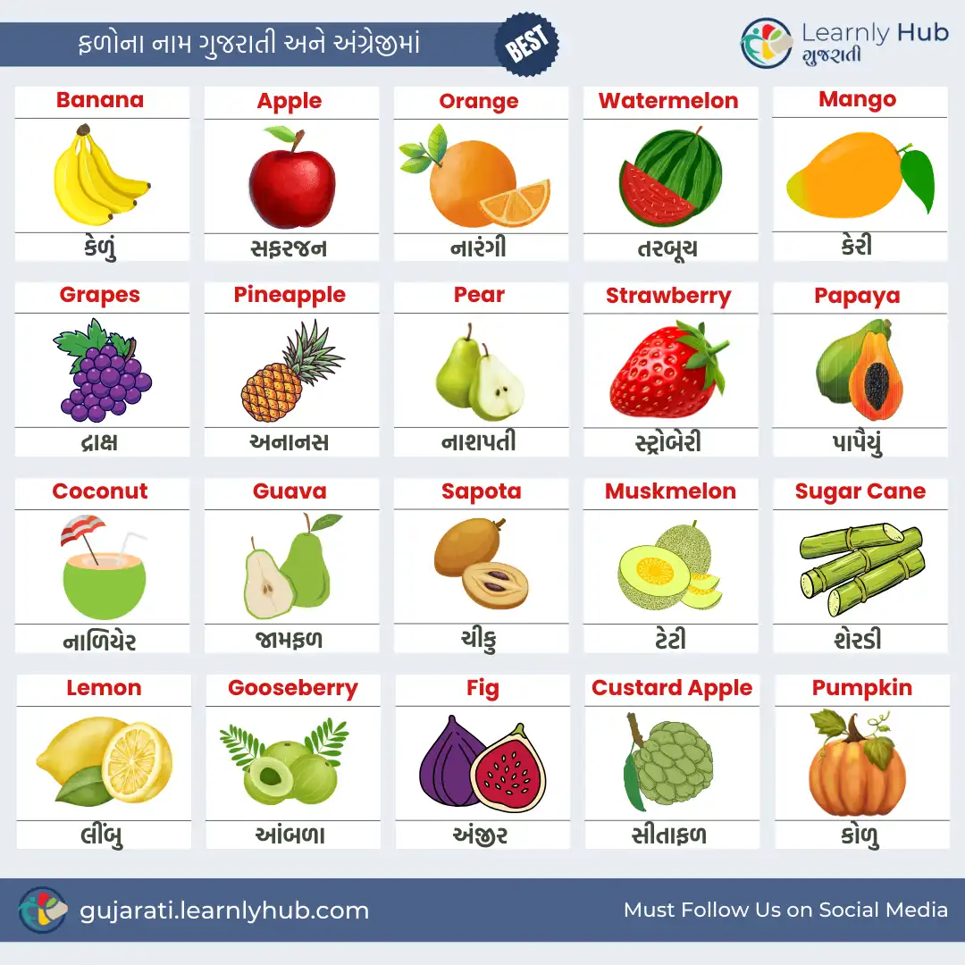 fruits name in gujarati and english with pictures- ફળો ના નામ