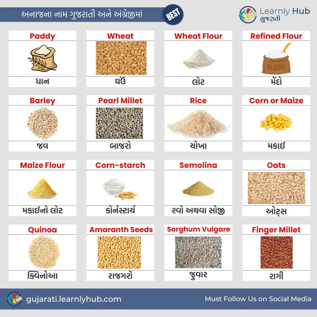 grains name in gujarati and english with pictures- અનાજ ના નામ