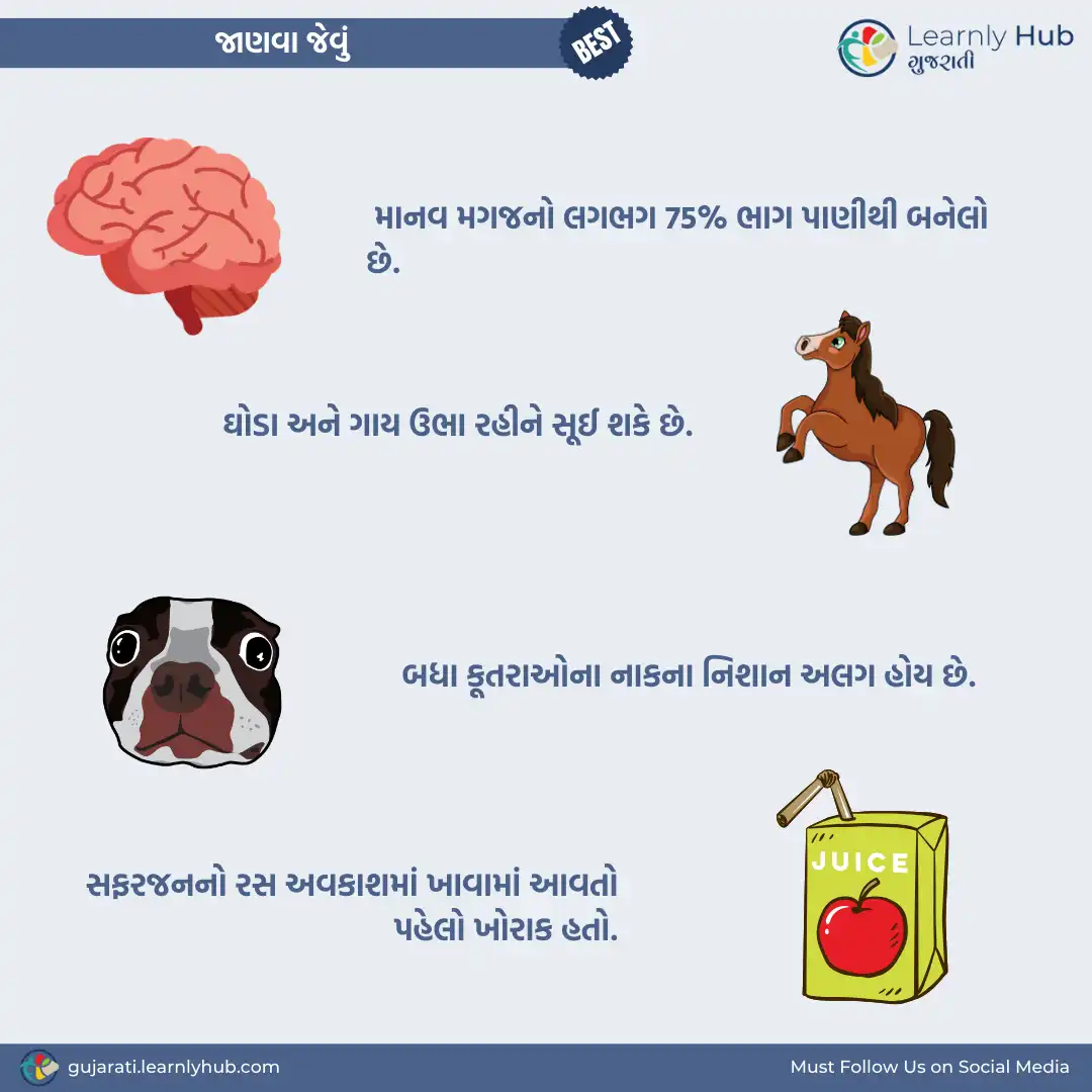 latest and interesting janva jevu in gujarati